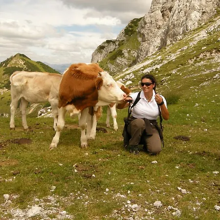 Nassfeld Sonnleiten Hermagor-Pressegger See